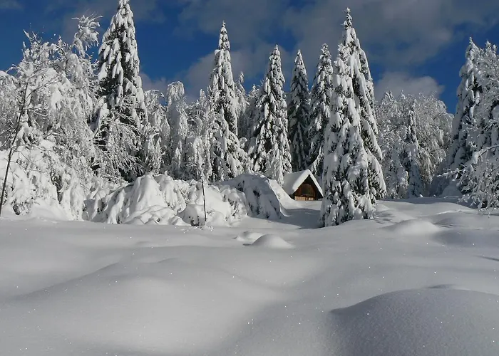 Hiska Vogar Chalet *